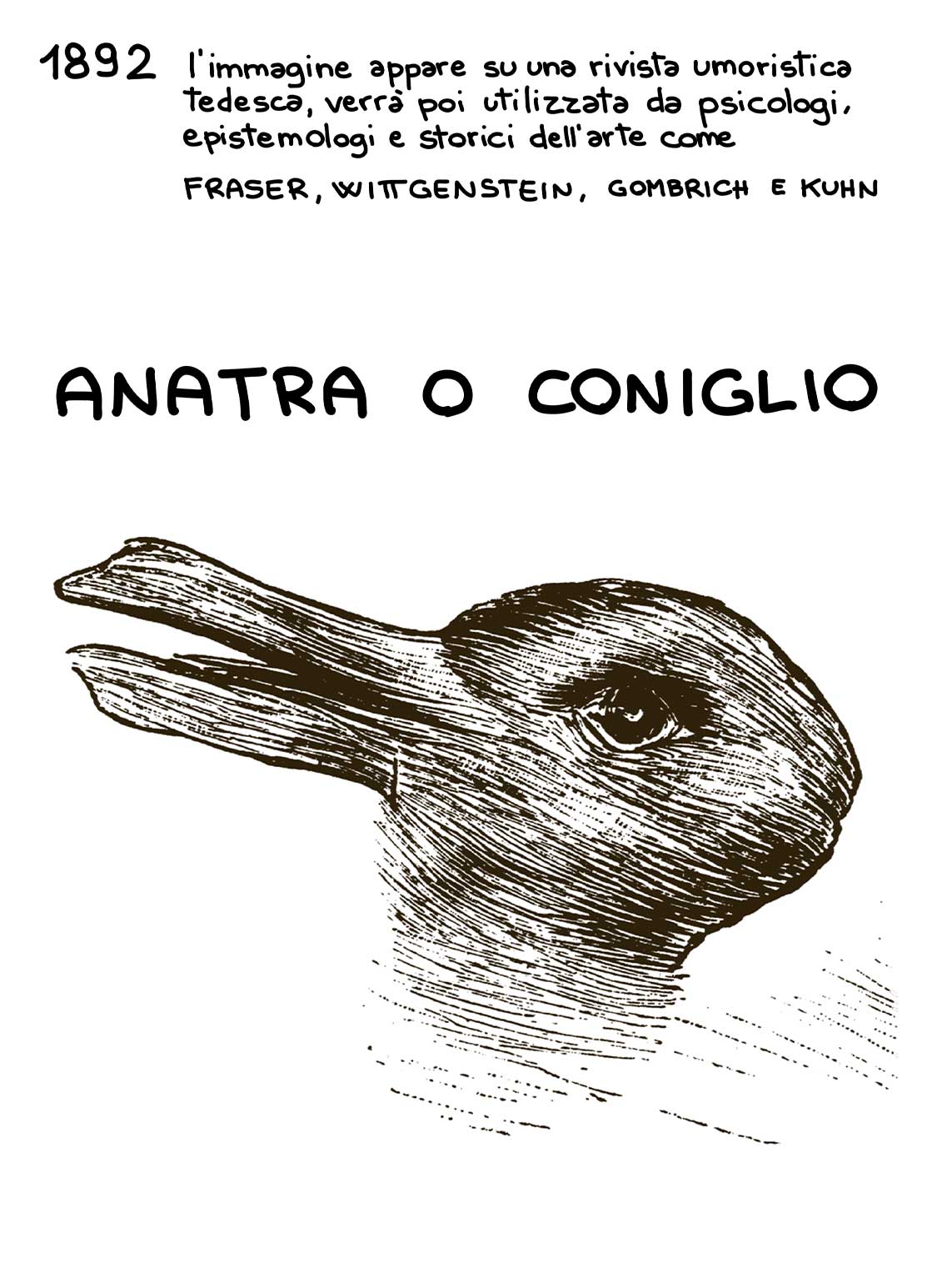 1892 anatra o coniglio?